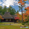 吉城園（茶室と苔庭）