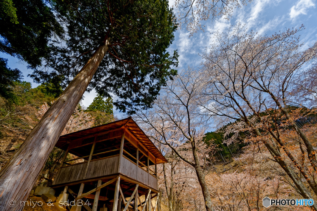 吉野山 奥千本 西行庵辺り