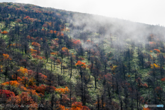 蔵王 地蔵山の山紅葉 ②