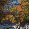 one lovely autumn scene. (かずら橋)