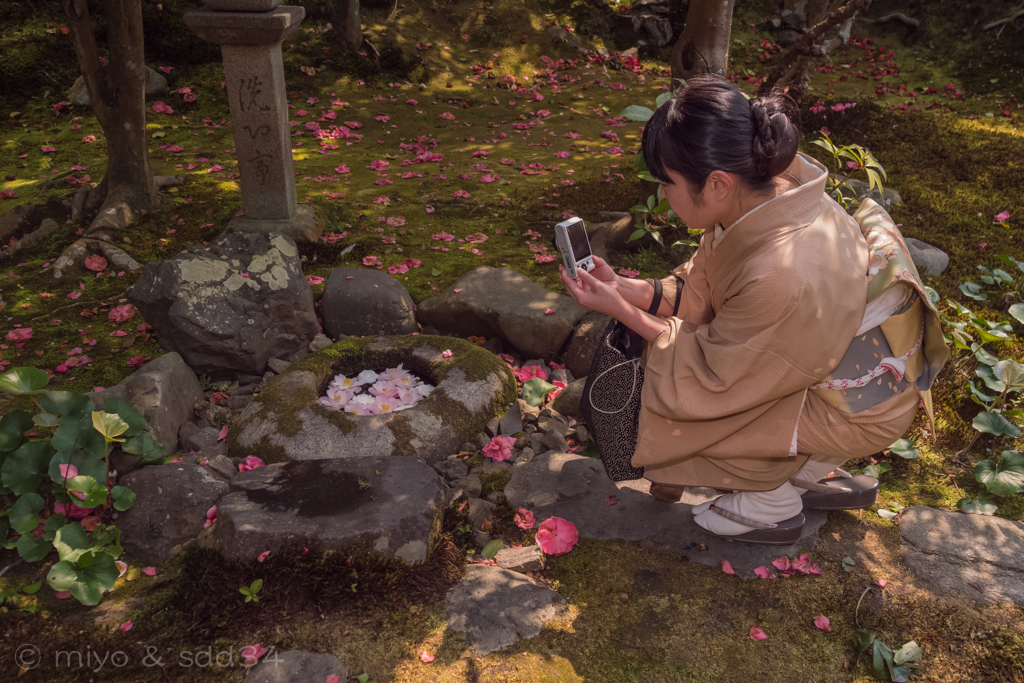 春を写す人