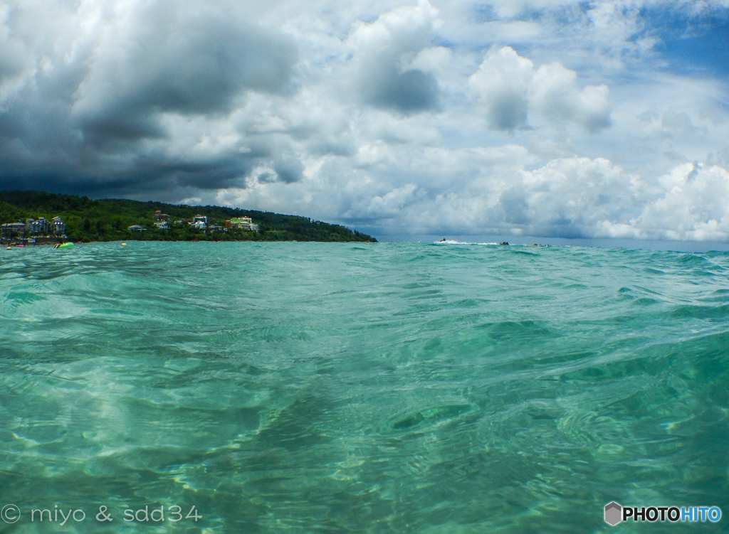 Coral sea of 南湾（NANWAN）