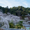 奈良 長谷寺