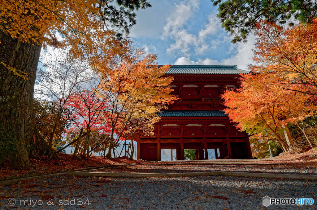 高野山 大門