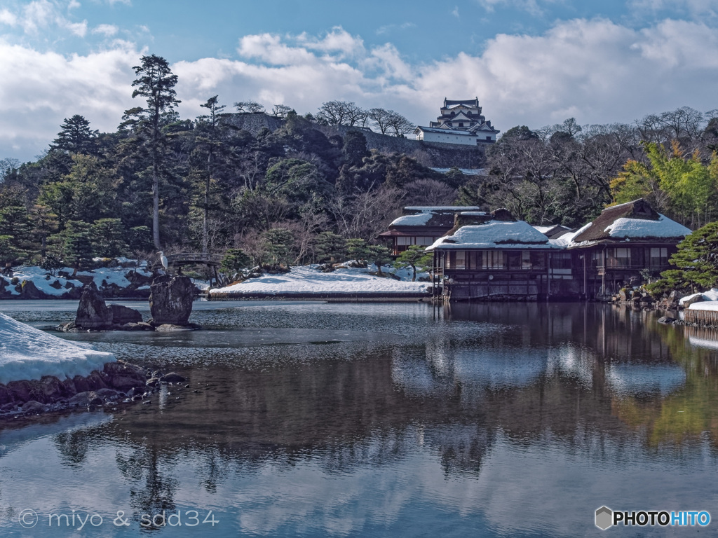 冬の玄宮園