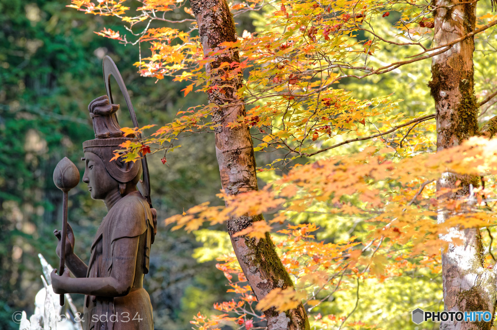 御廟橋の近く。