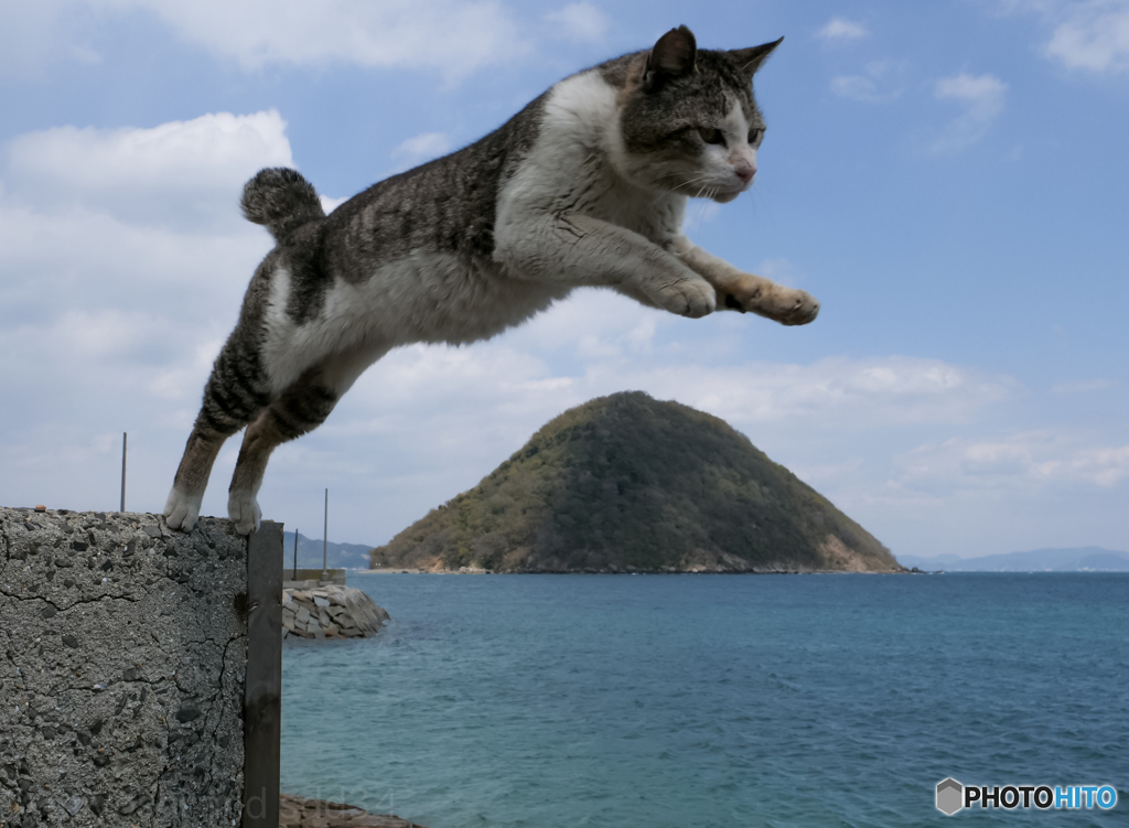 まだまだ飛びまーす。（都合30回ほど飛んでもらいました）