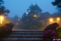 霧時雨 A foggy night in September.