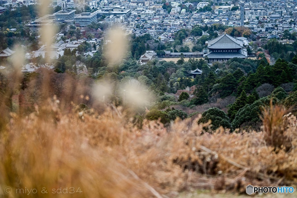 若草山より f/1.8の風景