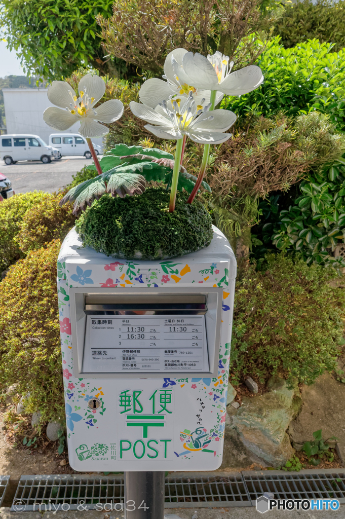 flowers on a mailbox.
