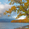 屈斜路湖 湖畔の紅葉