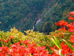 螭竜の滝（大雪山系 黒岳）