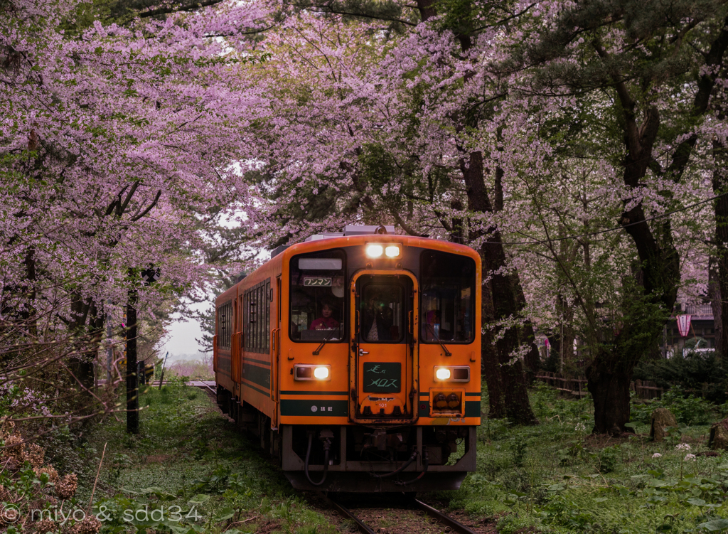 津軽鉄道 芦野公園駅にて。