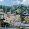 奈良 長谷寺 本坊より