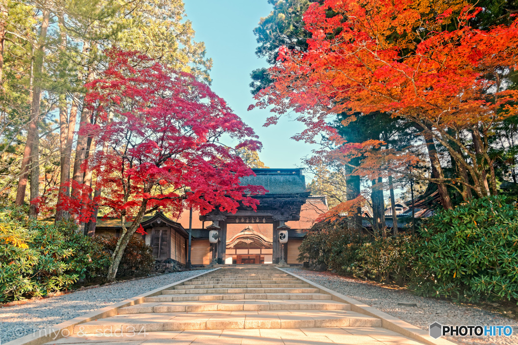 金剛峯寺