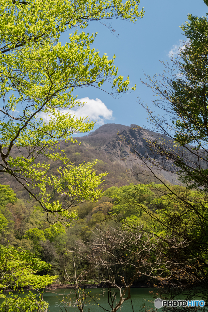 the Season of fresh green.
