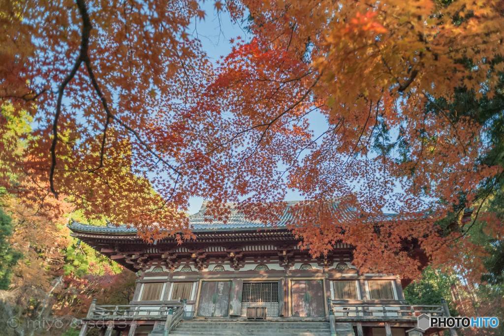 神護寺の紅葉