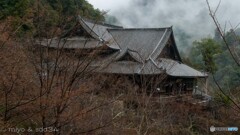 雨の長谷寺