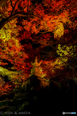 永観堂 宝篋印塔と紅葉