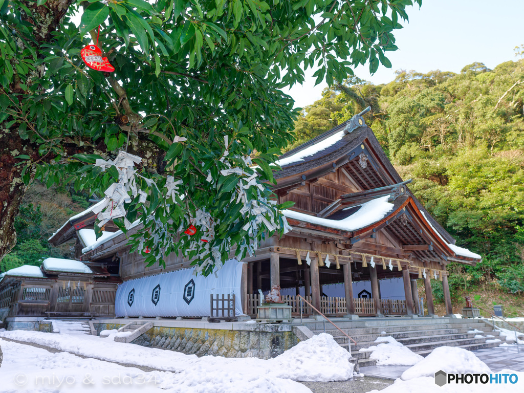 美保神社（椨（たぶ）の老木に赤い実を結ぶように）