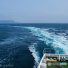 桜前線を追いかけて海峡を渡りました。