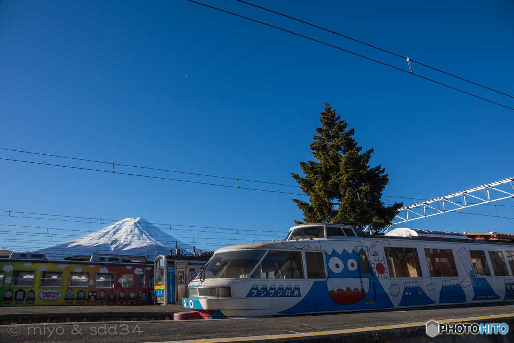 富士山 & フジサン