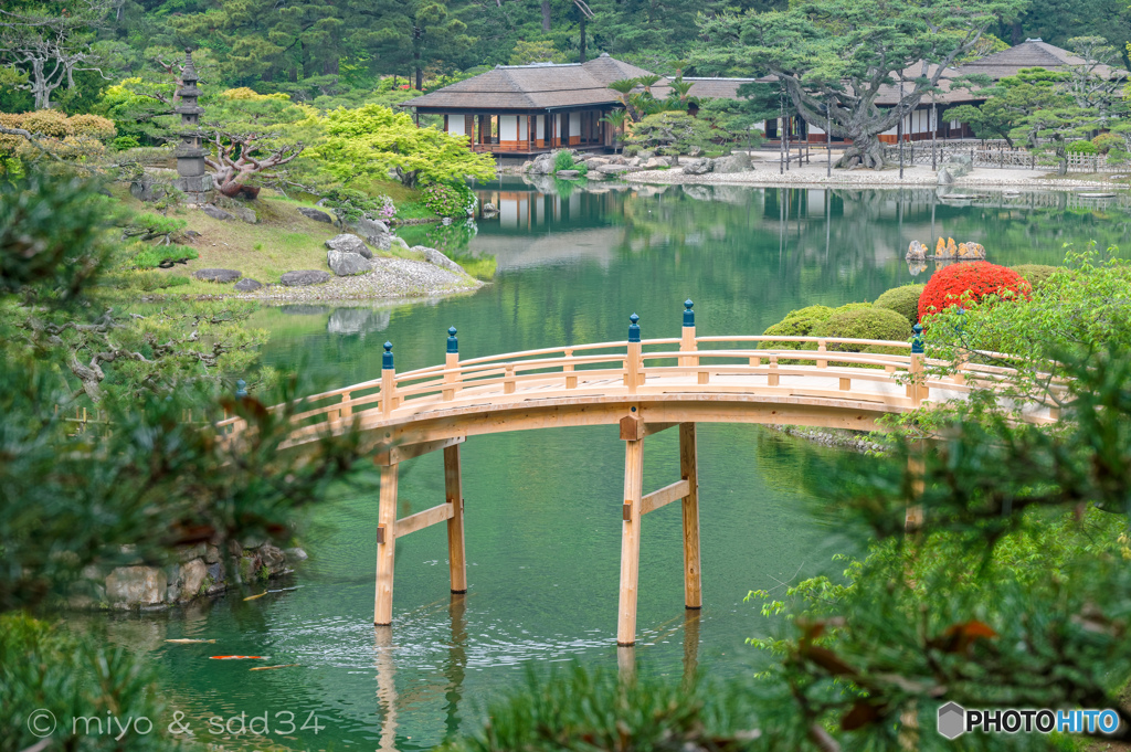 高松 栗林公園 (飛来峰より紅一点)