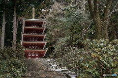 先生、（少しだけ）雪が降りましたよ。（室生寺 五重塔）