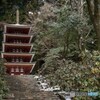 先生、（少しだけ）雪が降りましたよ。（室生寺 五重塔）