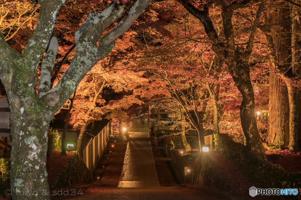 永源寺の紅葉