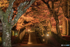 永源寺の紅葉