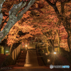 永源寺の紅葉