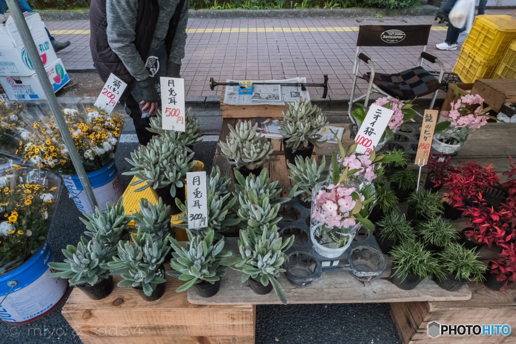 ドラクエの”どうぐや”で売っていそうな...（土佐の日曜市にて）