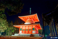 壇上伽藍の夜（根本大塔）