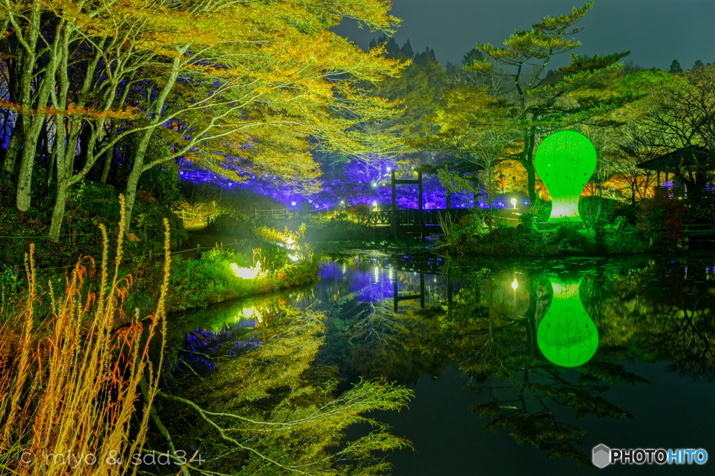 六甲高山植物園（六甲ミーツ・アート2021）