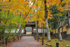 衣笠山地蔵院 (竹の寺)