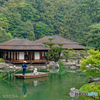 高松 栗林公園 (楓岸より)