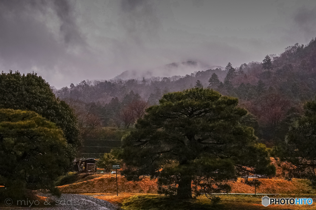 雨の修学院離宮