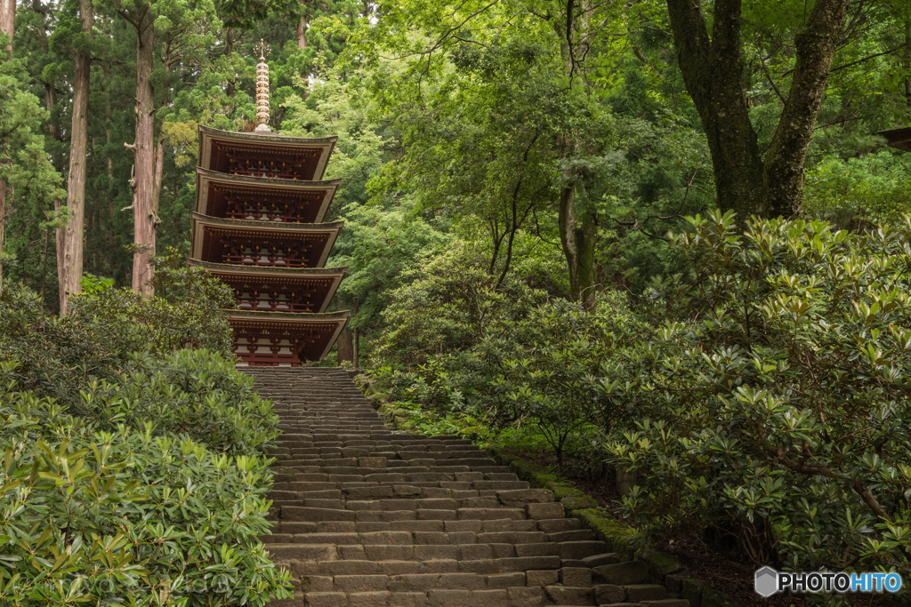 つゆのひぬま。（室生寺）