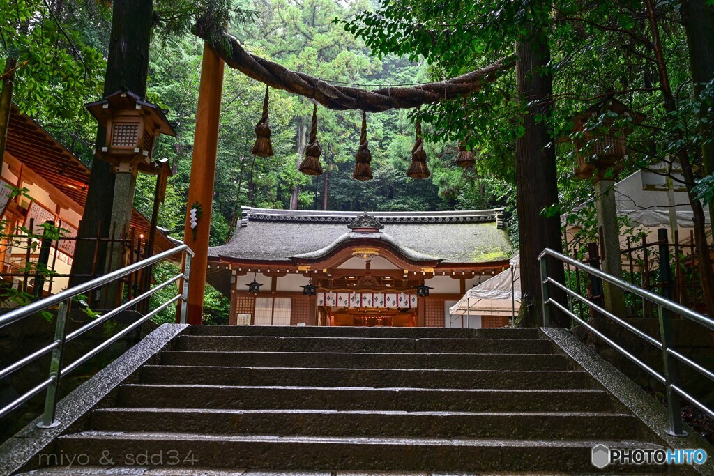 奈良 狭井神社