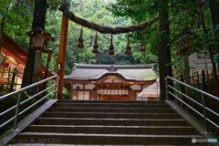 奈良 狭井神社