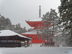 高野山は雪景色