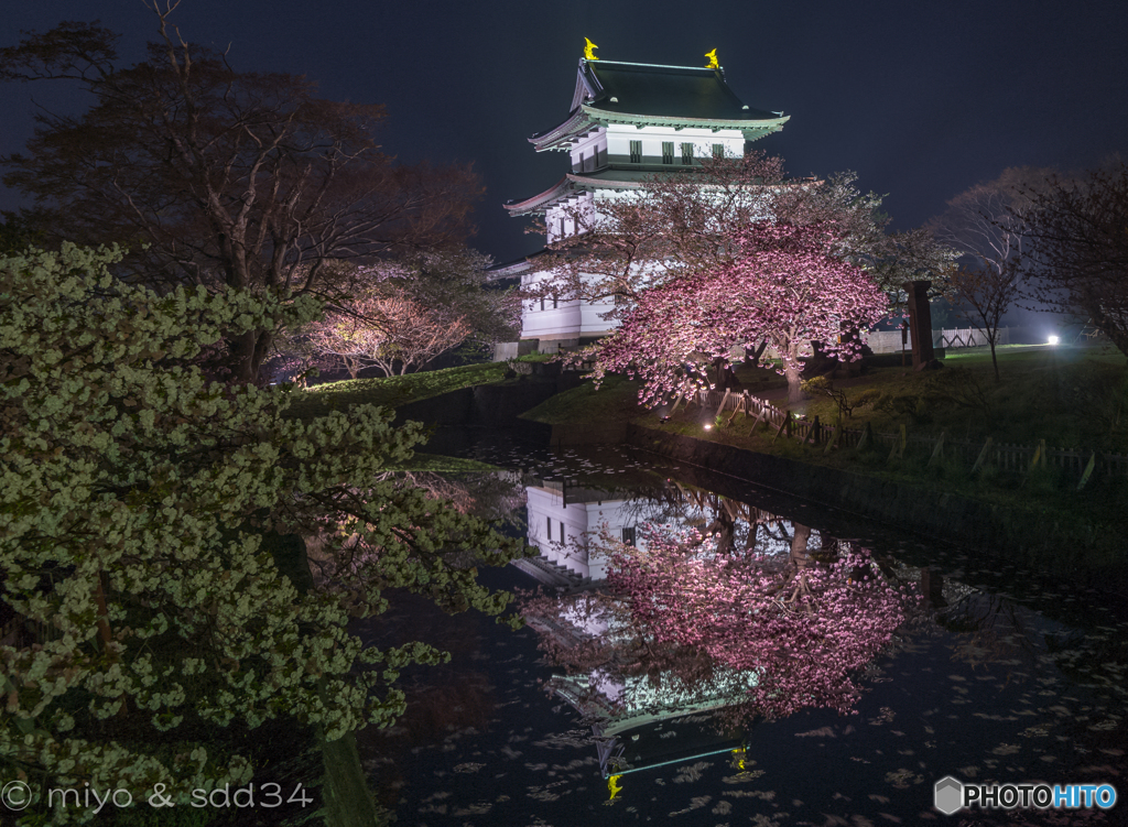 松前公園の夜景 (Fixed point photography)