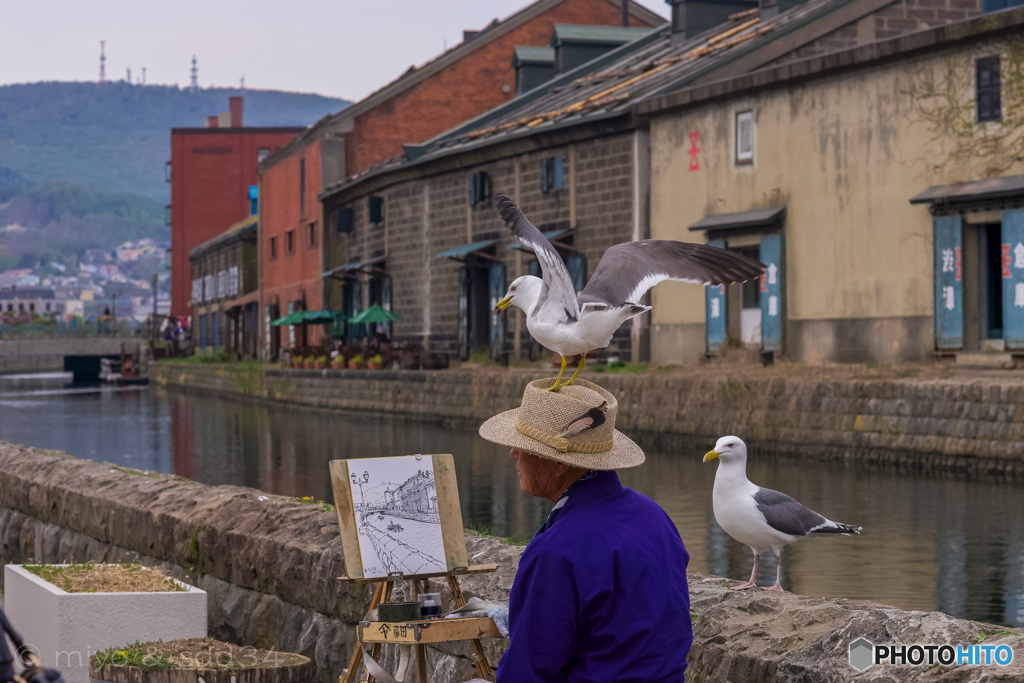 海賊たちがあらわれた 絵描きさんは しあわせの帽子をぬすまれた By Sdd34 Id 写真共有サイト Photohito