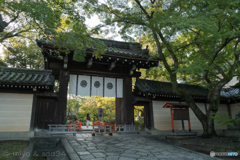 今宮神社にて