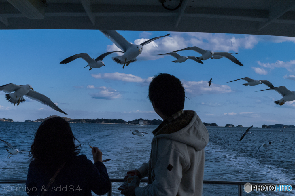 東北への旅に寄せて（松島）