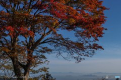 比叡山 坂本ケーブル延暦寺駅より