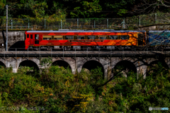 秋彩色の観光列車 (四国まんなか千年ものがたり)