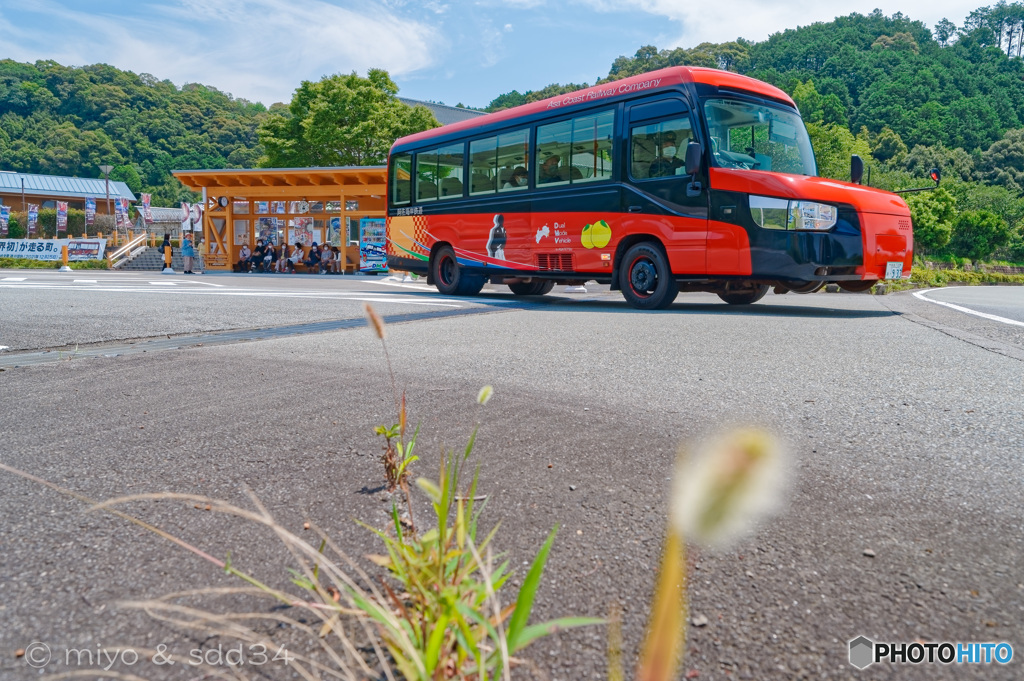 DMVが往く（阿波海南文化村）