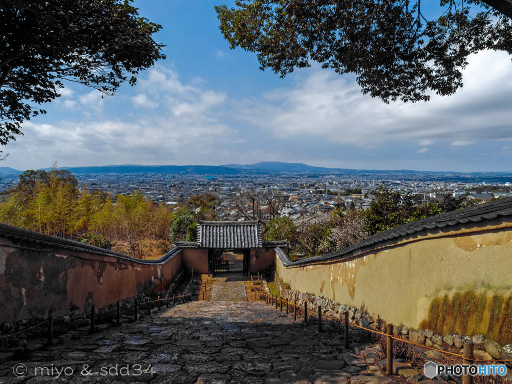 白毫寺より